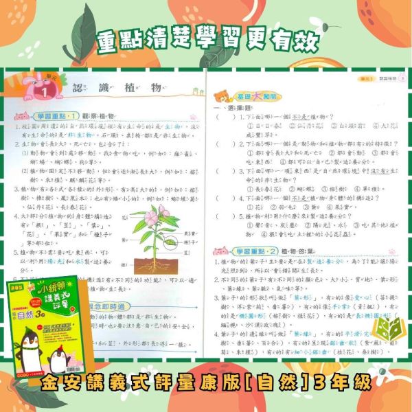 金安國小【講義式評量】國小評量 適用康軒/翰林/南一 114下 國小1~6年級 數學評量 自然評量｜附解答＋5回月考複習卷｜ 國小評量、小統領、講義式評量、數學評量、自然評量、月考複習卷、康軒、翰林、南一、114下、國小1~6年級、附解答