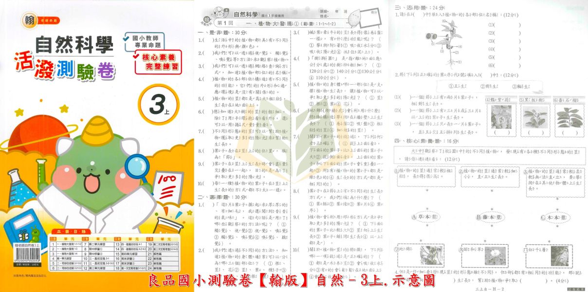 良品國小 國小測驗卷 活潑測驗卷 適用翰林 114上 113下 國小1~6年級 國語 英語 數學 自然 社會 雙面試題 附解答 