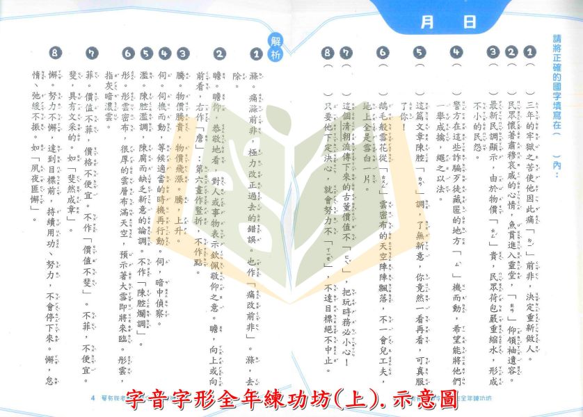 螢火蟲【字音字形全年練功坊】上冊【國小國語輔材】 