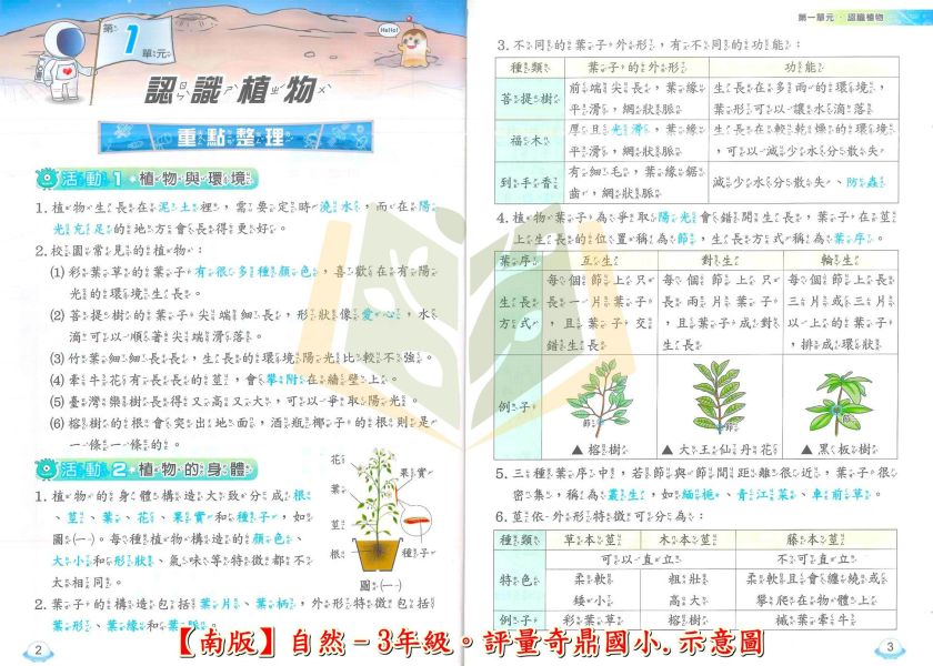 奇鼎國小 國小評量 課堂精華評量 適用南一 114上 113下 國小1~6年級 國語 數學 生活 自然 社會 附解答 附5回月考複習卷 