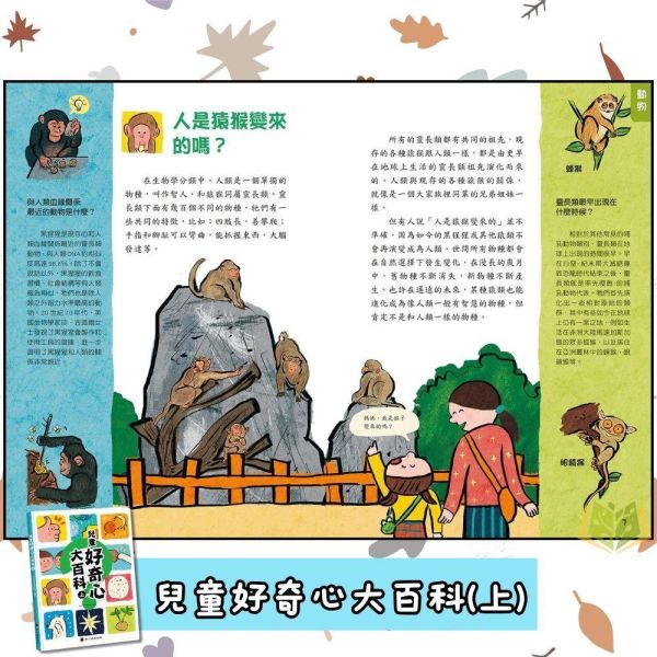 螢火蟲國小【兒童好奇心大百科】上/下｜適用8歲以上【無注音】｜【圖書】 兒童好奇心大百科、科普圖書、國小閱讀、無注音、親子共讀、生活常識、兒童百科、提問學習、6-12歲適讀、科學知識書