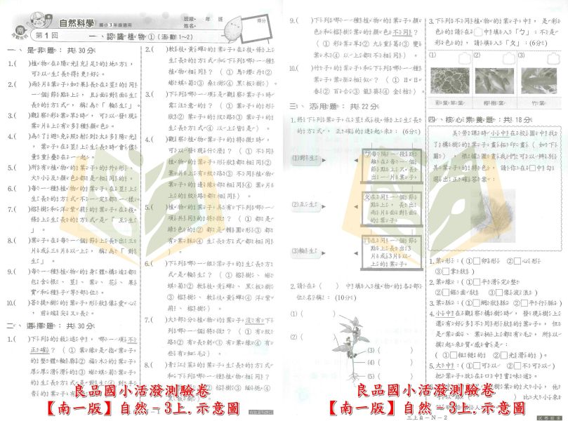 良品國小 114上 最新版國小測驗卷《活潑測驗卷》適用南一 國小1~6年級 國語 數學 自然 社會 附解答＋雙面試題 114上, 良品, 測驗卷, 活潑測驗卷, 素養測驗卷, 國小測驗卷, 南一版, 國語, 數學, 自然, 社會, 附解答, 雙面試題, 可撕式, 考前複習, 模擬考卷