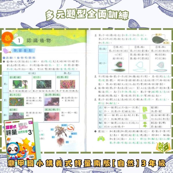鼎甲國小 115上｜【講義式評量】｜適用南一版｜國小1~6年級｜國語/數學/生活/自然/社會｜附解答＋5回月考複習卷 鼎甲國小115上,講義式評量,南一版,國小評量,國語評量,數學評量,生活評量,自然評量,社會評量,月考複習卷,附解答