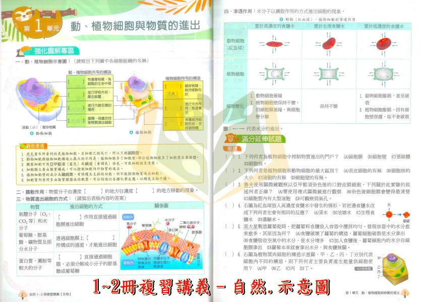 翰林國中 大滿貫1~2冊複習講義 國文 英語 數學 自然【生物】地理 歷史【升國二暑假先修】 