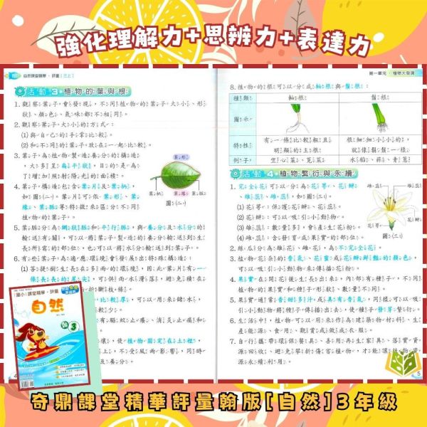 奇鼎國小 115上《課堂精華評量》適用翰林 國小1~6年級 國語/數學/生活/自然/社會 附解答 附5回月考複習卷 115上, 奇鼎, 國小評量, 課堂精華評量, 翰林版, 國語, 數學, 自然, 生活, 社會, 附解答, 月考複習卷, 安親班, 條列重點, 考前複習