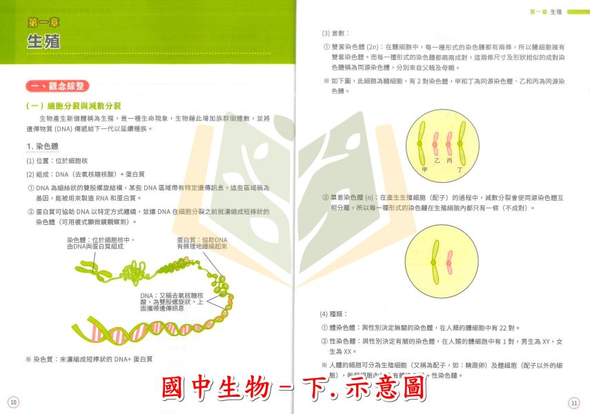 中華未來國中 國中會考制霸 素養講義題本 國文 生物 地理 歷史 公民 附解答【國中會考】 