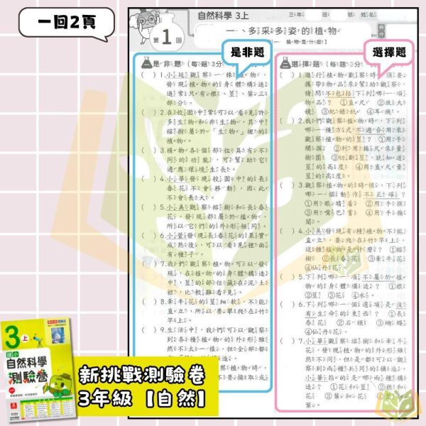 康軒國小 115上｜【國小測驗卷】｜國小1~6年級｜國語/數學/生活/自然/社會｜附解答＋雙面試題 康軒國小115上,國小測驗卷,康軒測驗卷,國語測驗卷,數學測驗卷,生活測驗卷,自然測驗卷,社會測驗卷,附解答,雙面試題