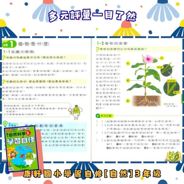 康軒國小 114下【國小自修】學習自修 國小1~6年級｜國語/數學/生活/自然/社會｜附課本/習作解答/附解答｜ 114上, 學習自修, 國小自修, 康軒版, 國語, 數學, 自然, 社會, 1~6年級, 附課本解答, 附習作解答