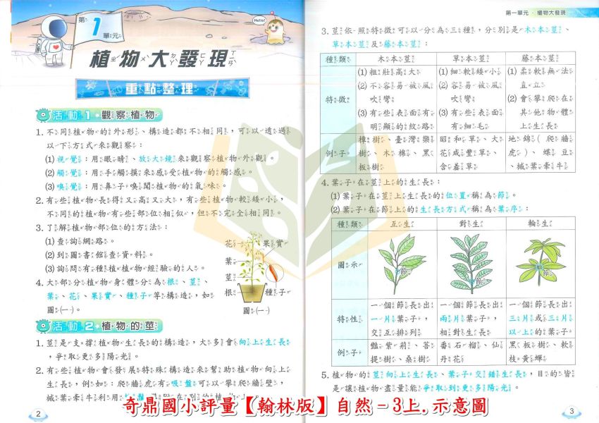 奇鼎國小 國小評量 課堂精華評量 適用翰林 114上 113下 國小1~6年級 國語 數學 生活 自然 社會 附解答 附5回月考複習卷 