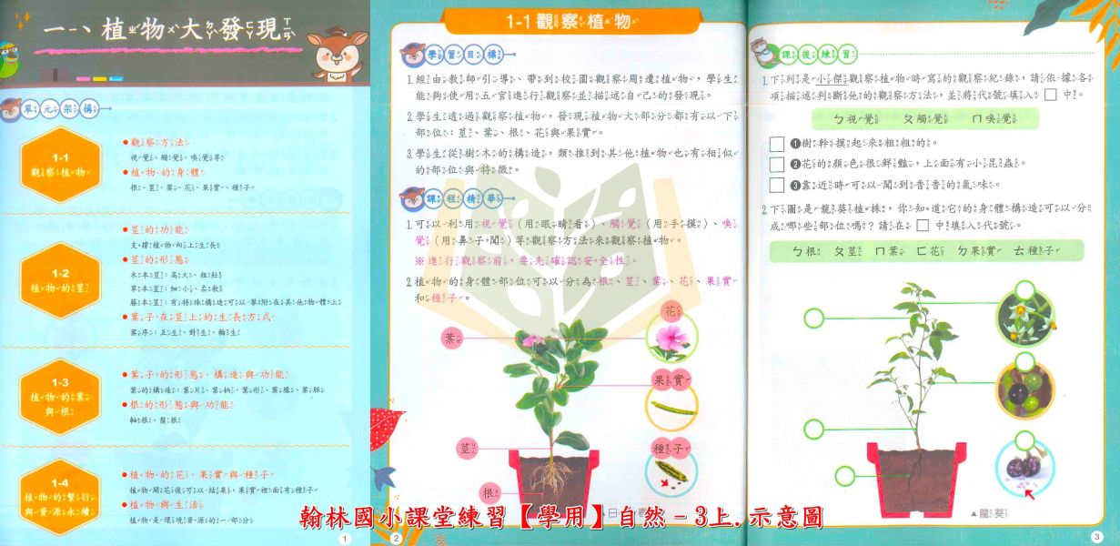 翰林國小 114上 最新版 課堂練習《學生用/教師用》國小1~6年級 國語 數學 生活 自然 社會 翰林課堂練習、114上、國小學生用教材、教師用解答、國語、數學、自然、社會、生活、國小1~6年級
