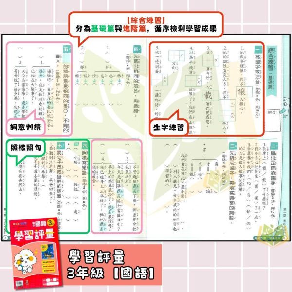 康軒國小 115上｜【學習評量】｜國小1~6年級｜國語/數學/生活/自然/社會｜附練習簿/解答 康軒國小115上,學習評量,國小評量,國語評量,數學評量,生活評量,自然評量,社會評量,練習簿,附解答