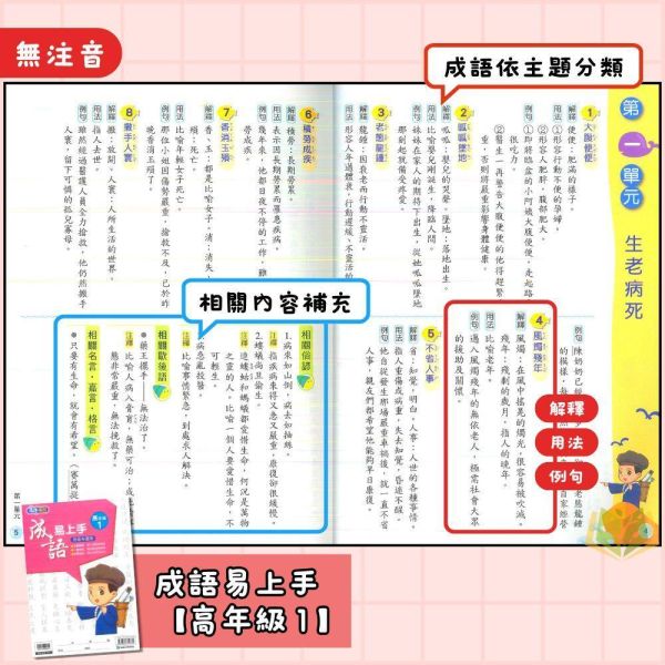 店長推薦 薄本成語首選 康軒國小【成語易上手】3~6年級｜附解答｜【國小國語輔材】 康軒國小 成語易上手 國小國語 成語練習 成語應用 成語理解 成語故事 國小語文 國小成語 附解答
