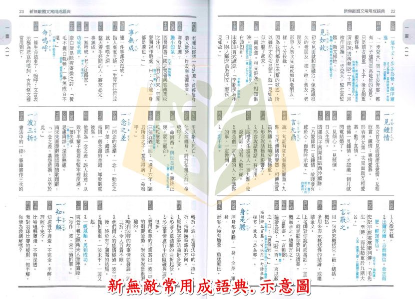 翰林 新無敵常用成語典【字典】 