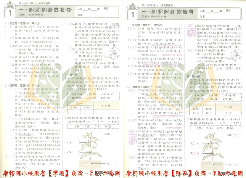 康軒國小 114上 最新版《國小校用卷》國小素養評量單 國小1~6年級 國語 數學 生活 自然 社會 《學用+解答》 康軒國小校用卷、國小素養評量單、素養評量單、114上最新版、國語.數學.生活.自然.社會、國小題本解答、期中期末複習