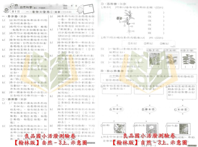 良品國小 114上 最新版 國小測驗卷《活潑測驗卷》適用翰林 國小1~6年級 國語 數學 自然 社會 附解答＋雙面試題 114上, 良品, 測驗卷, 活潑測驗卷, 素養測驗卷, 國小測驗卷, 翰林版, 國語, 數學, 自然, 社會, 附解答, 雙面試題, 可撕式, 考前複習, 模擬考卷