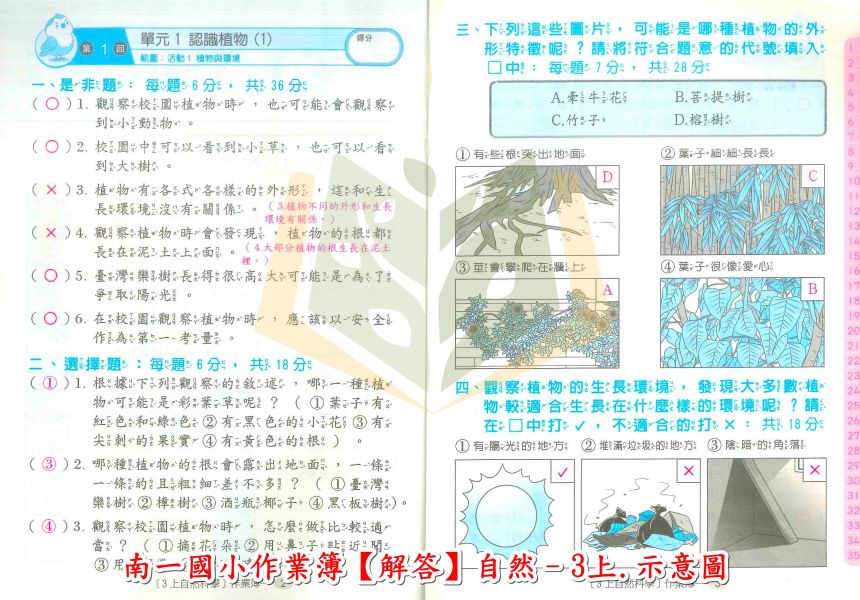 南一國小 作業簿 教師用 解答 114上 國小1~6年級 國語 數學 生活 自然 社會 