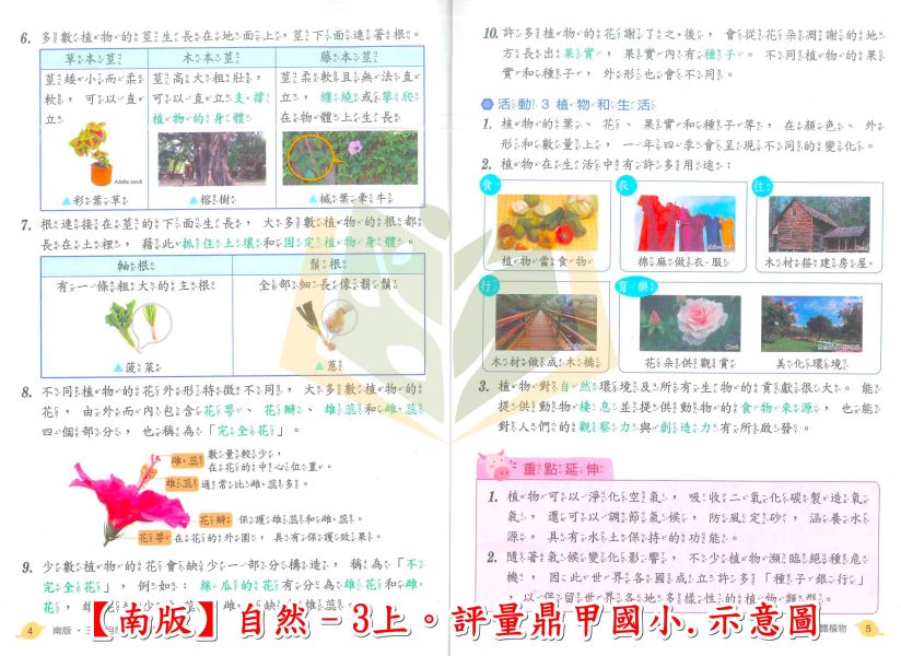 鼎甲國小 評量 講義式評量 適用南一 114上 113下 國小1~6年級 國語 數學 生活 自然 社會 附解答 附5回月考複習卷 