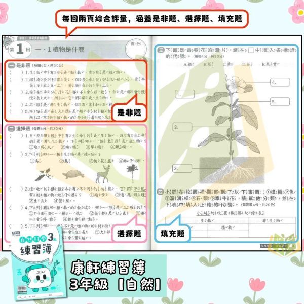 康軒國小 115上 最新版 練習簿《學生用/教師用》國小1~6年級 國語 數學 生活 自然 社會 康軒練習簿、國小練習簿、學生用無解答、教師用解答本、115上、國語、數學、自然、生活、社會、國小1~6年級