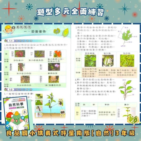 良品國小 115上｜【講義式評量】｜適用南一版｜國小1~6年級｜國語/數學/生活/自然/社會｜附解答＋5回月考複習卷 良品國小115上,講義式評量,南一版,國小評量,國語評量,數學評量,生活評量,自然評量,社會評量,月考複習卷,附解答
