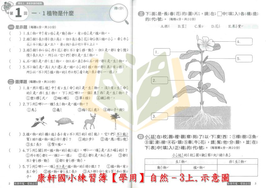 康軒國小 114上 最新版 練習簿《學生用/教師用》國小1~6年級 國語 數學 生活 自然 社會 康軒練習簿、國小練習簿、學生用無解答、教師用解答本、114上、國語、數學、自然、生活、社會、國小1~6年級