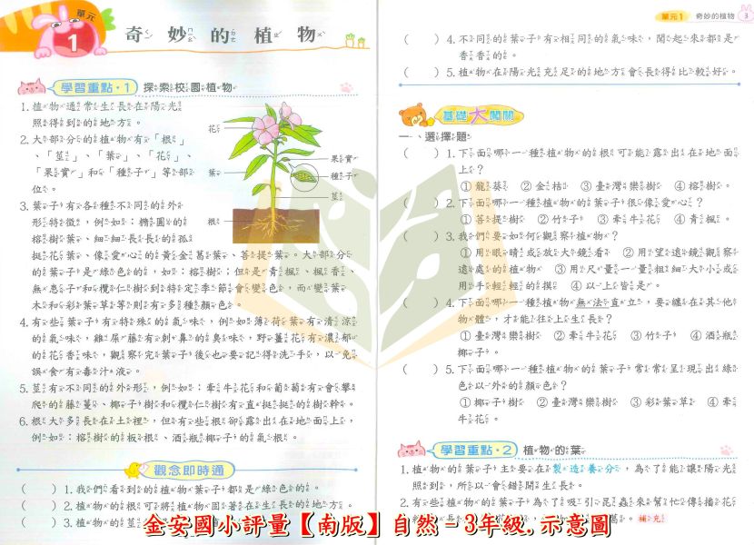 金安國小 國小評量 講義式評量 適用康軒 翰林 南一114上 國小1~6年級 數學 自然 附解答 附5回月考複習卷 