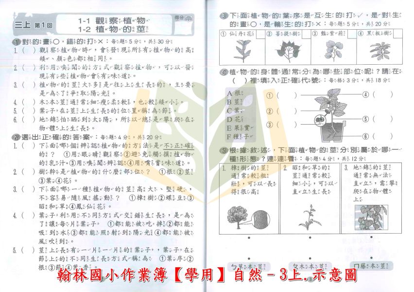 翰林國小 114上 最新版 作業簿《學生用/教師用》國小1~6年級 國語 數學 生活 自然 社會 翰林作業簿、國小114上教材、學生用無解答、教師用附解答、國小1~6年級、國語、數學、生活、自然、社會