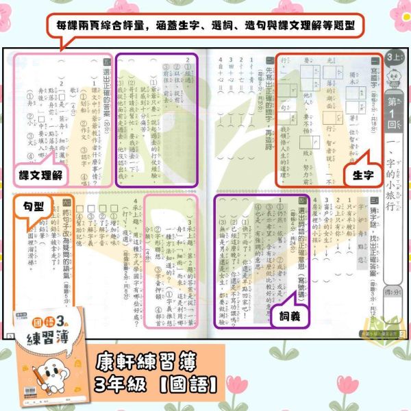 康軒國小 115上 最新版 練習簿《學生用/教師用》國小1~6年級 國語 數學 生活 自然 社會 康軒練習簿、國小練習簿、學生用無解答、教師用解答本、115上、國語、數學、自然、生活、社會、國小1~6年級