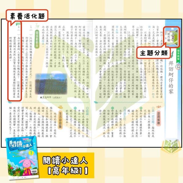 店長推薦 閱讀首選 翰林國小【閱讀小達人】低/中/高年級｜附QR國語補充學習/附解答｜【國小國語輔材】 翰林國小 閱讀小達人 1-6年級 國小國語附解答 跨領域閱讀 生活化文章 素養測驗 QR補充影片 自主學習 課綱銜接 閱讀理解能力