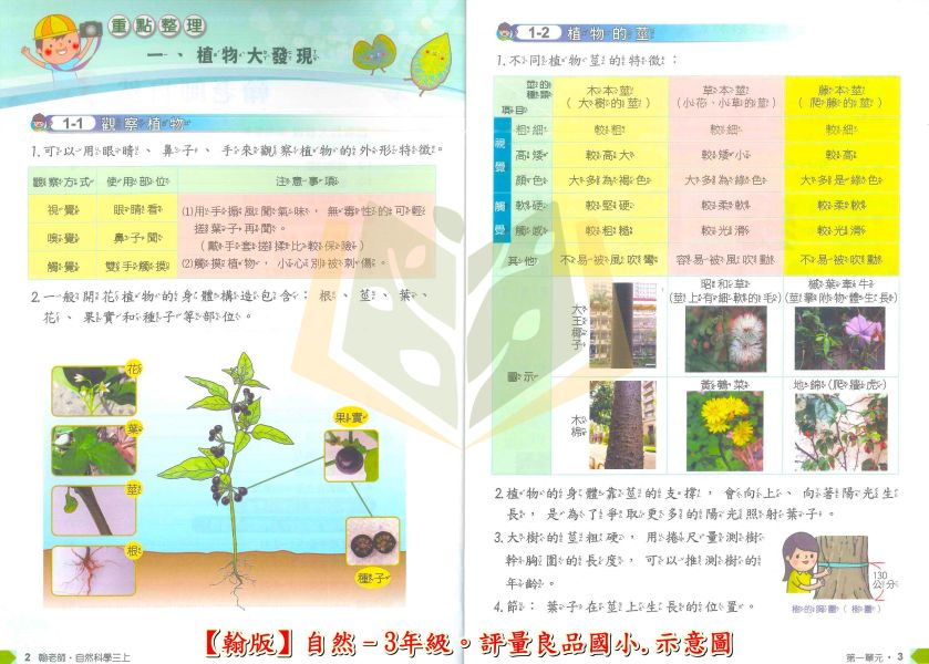 良品國小 國小評量 講義式評量 適用翰林 114上 113下 國小1~6年級 國語 數學 生活 自然 社會 附解答 附5回月考複習卷 