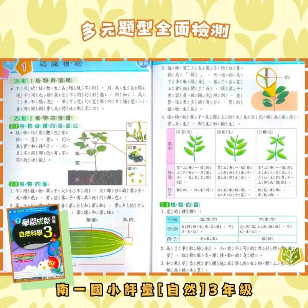 【預購】南一國小 114上｜【國小評量】學習成就評量｜國小1~6年級｜國語/數學/生活/自然/社會｜附練習簿/解答 南一國小115上,學習成就評量,國小評量,國語評量,數學評量,生活評量,自然評量,社會評量,練習簿,附解答