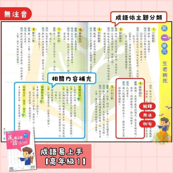 店長推薦 薄本成語首選 康軒國小【成語易上手】3~6年級｜附解答｜【國小國語輔材】 康軒國小 成語易上手 國小國語 成語練習 成語應用 成語理解 成語故事 國小語文 國小成語 附解答