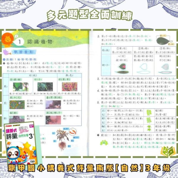 鼎甲國小【講義式評量】適用南一 114下 國小1~6年級｜國語/數學/生活/自然/社會｜附解答+5回月考複習卷｜ 114下, 鼎甲, 國小評量, 講義式評量, 南一版, 國語, 數學, 自然, 社會, 生活, 附解答, 月考複習卷, 條列重點, 補習班教材, 課後練習
