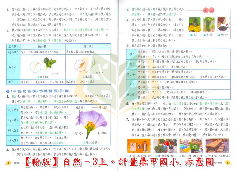 鼎甲國小 評量 講義式評量 適用翰林 114上 113下 國小1~6年級 國語 數學 生活 自然 社會 附解答 附5回月考複習卷 
