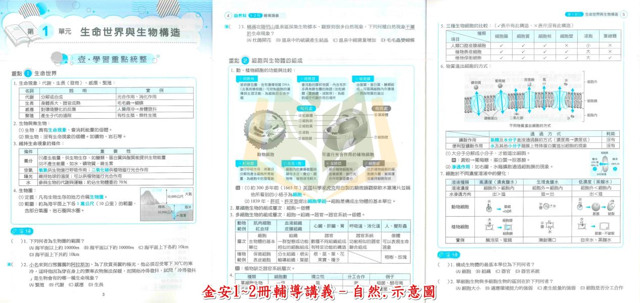 金安國中 雙向溝通1~2冊輔導講義 國文 英語 數學 自然 地理 歷史 公民 附解答【升國二暑假先修】 
