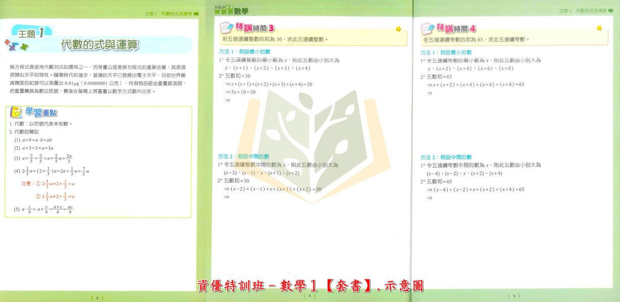 名師學院國小 資優特訓班 先修特訓班 國文 英語 數學 套書【升國中/私中教材】 