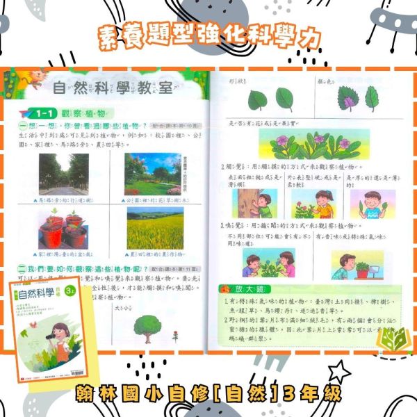 翰林國小 114下【國小自修】小無敵自修 國小1~6年級｜國語/數學/生活/自然/社會｜附課本/習作解答/附解答｜ 114下, 新無敵自修, 國小自修, 翰林版, 國語, 數學, 自然, 社會, 生活, 1~6年級, 附課本解答, 附習作解答