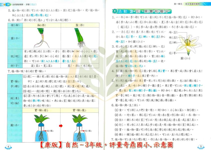 奇鼎國小 國小評量 課堂精華評量 適用康軒 114上 113下 國小1~6年級 國語 數學 生活 自然 社會 附5回月考複習卷 