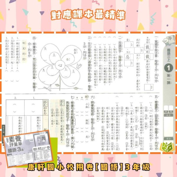 康軒國小 114下 最新版《國小校用卷》國小素養評量單 國小1~6年級 國語 數學 生活 自然 社會 康軒國小校用卷、國小素養評量單、素養評量單、114下最新版、國語.數學.生活.自然.社會、國小題本解答、期中期末複習