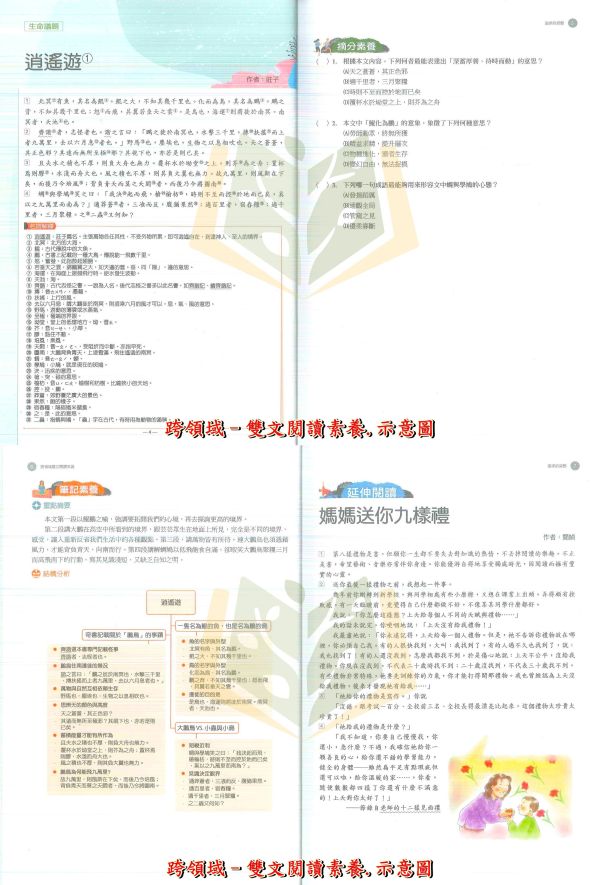 翰林國中 跨領域閱讀【文言文閱讀素養/雙文閱讀素養/議定會考的閱讀理解/2030永續閱讀/國文圖示字義學文言】國中 7 8 9 年級｜附解答｜【國中國文輔材】 