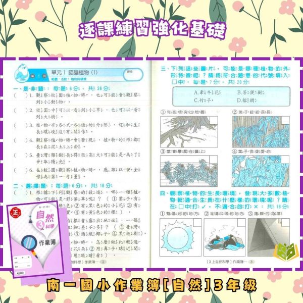 南一國小 114下 作業簿《學生用/教師用》國小1~6年級 國語 數學 生活 自然 社會 