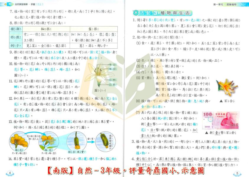 奇鼎國小 國小評量 課堂精華評量 適用南一 114上 113下 國小1~6年級 國語 數學 生活 自然 社會 附解答 附5回月考複習卷 