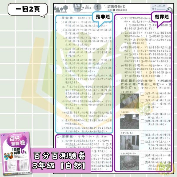 南一國小 115上｜【國小測驗卷】｜國小1~6年級｜國語/數學/生活/自然/社會｜附解答＋雙面試題 南一國小115上,國小測驗卷,南一測驗卷,國語測驗卷,數學測驗卷,生活測驗卷,自然測驗卷,社會測驗卷,附解答,雙面試題