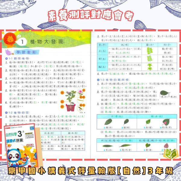 鼎甲國小【講義式評量】適用翰林 114下 國小1~6年級｜國語/數學/生活/自然/社會｜附解答+5回月考複習卷｜ 114下, 鼎甲, 國小評量, 講義式評量, 翰林版, 國語, 數學, 自然, 社會, 生活, 附解答, 月考複習卷, 條列重點, 補習班教材, 課後練習