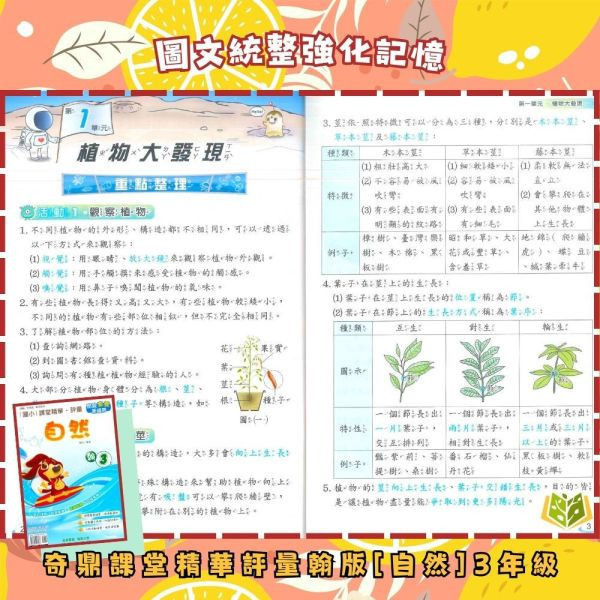 奇鼎國小 114下《課堂精華評量》適用翰林 國小1~6年級 國語/數學/生活/自然/社會 附解答 附5回月考複習卷 114上, 奇鼎, 國小評量, 課堂精華評量, 翰林版, 國語, 數學, 自然, 生活, 社會, 附解答, 月考複習卷, 安親班, 條列重點, 考前複習