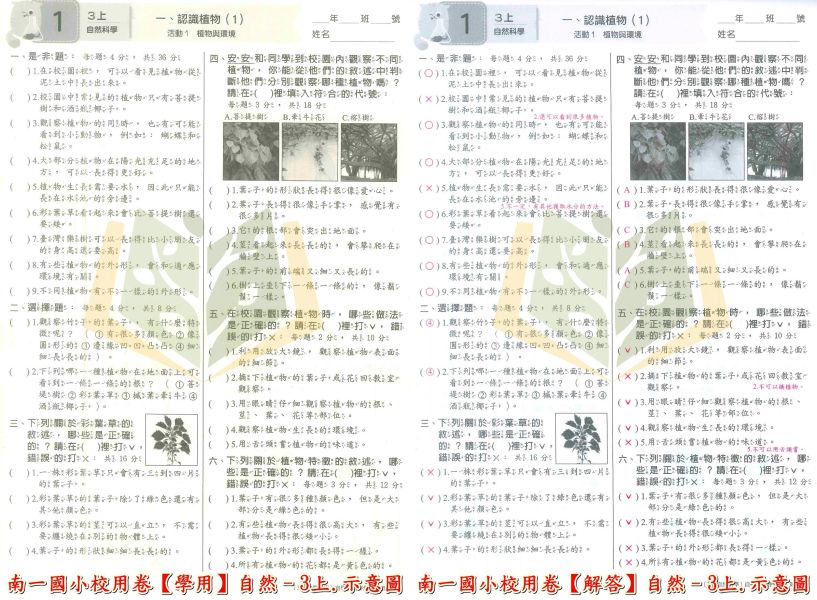 南一國小 114上 最新版《國小校用卷》國小自學診斷評量單 國小1~6年級 國語 數學 生活 自然 社會 《學用+解答》 南一國小校用卷、國小診斷評量、自學評量單、114上最新版、國語.數學.生活.自然.社會、國小題本解答、期中期末複習