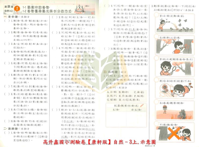 高升鑫國小 114上 最新版 國小測驗卷《直說素養測驗卷》適用康軒/翰林/南一 國小1~6年級 國語 數學 自然 社會 附解答＋雙面試題 114上, 高升鑫, 直說素養, 測驗卷, 國小測驗卷, 國語, 數學, 自然, 社會, 康軒, 翰林, 南一, 附解答, 雙面試題, 素養導向, 考前複習