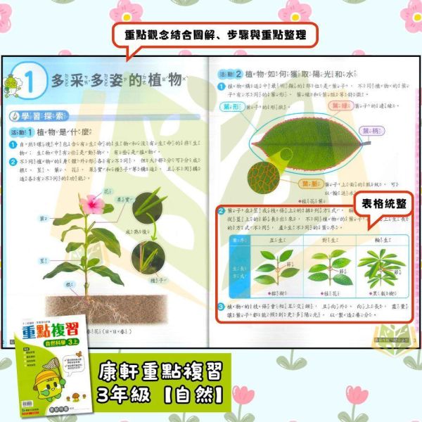 康軒國小 115上 最新版 重點複習《學生用/教師用》國小1~6年級 國語 數學 自然 社會 康軒重點複習、115上、國小複習教材、學生用無解答、教師用解答、國小1~6年級、國語、數學、自然、社會