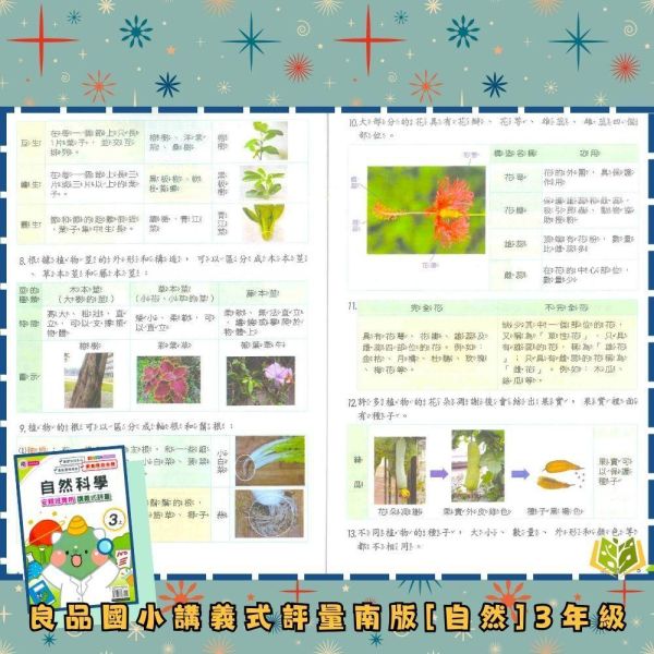 良品國小 115上｜【講義式評量】｜適用南一版｜國小1~6年級｜國語/數學/生活/自然/社會｜附解答＋5回月考複習卷 良品國小115上,講義式評量,南一版,國小評量,國語評量,數學評量,生活評量,自然評量,社會評量,月考複習卷,附解答