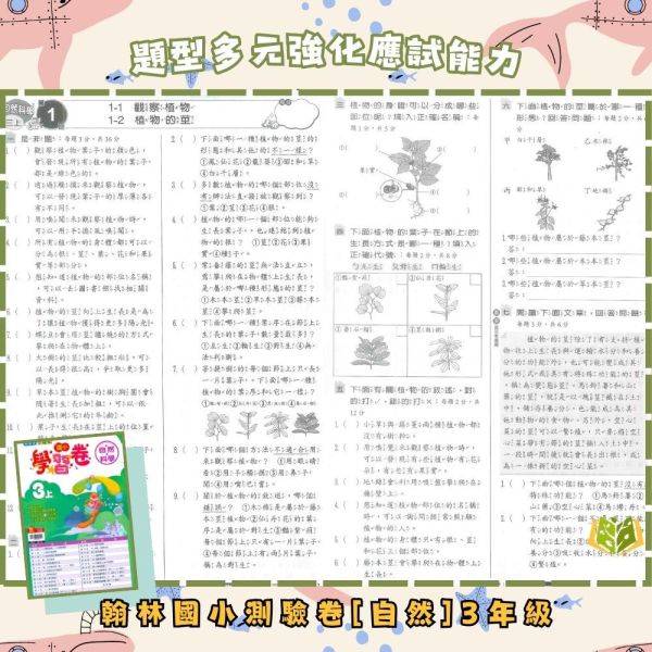 翰林國小 114下【國小測驗卷】國小1~6年級 國語 數學 生活 自然 社會 附解答+雙面試題 114下, 翰林國小, 國小測驗卷, 國小考卷, 模擬試題, 雙面試題, 可撕式, 國語, 數學, 自然, 社會, 生活, 附解答, 考前複習