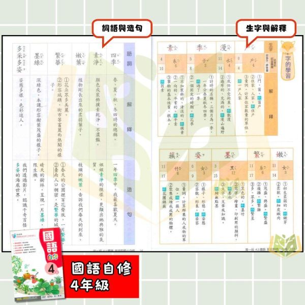 南一國小 115上｜【國小自修】新超群自修｜國小1~6年級｜國語/數學/生活/自然/社會｜附課本/習作解答 南一國小115上,新超群自修,國小自修,國語自修,數學自修,生活自修,自然自修,社會自修,課本解答,習作解答